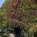 sanur_v_0044_bal4185.jpg